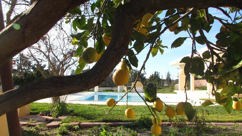 Villa Bulcrini Sant Isidoro  Exterior foto